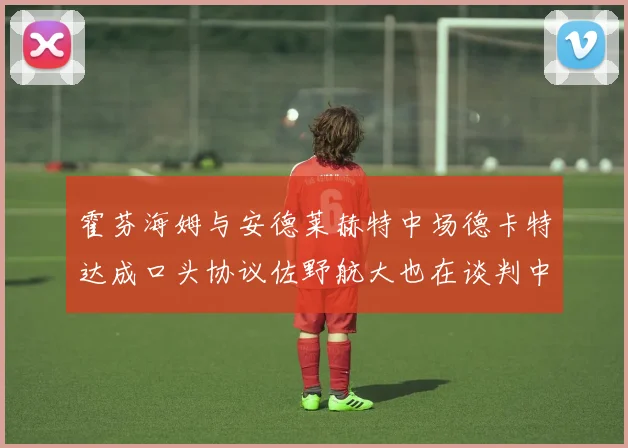 霍芬海姆与安德莱赫特中场德卡特达成口头协议佐野航大也在谈判中