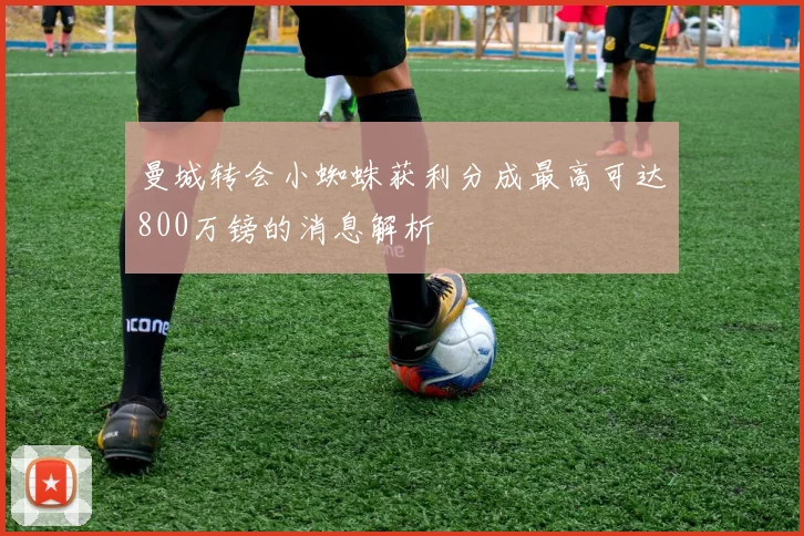 曼城转会小蜘蛛获利分成最高可达800万镑的消息解析
